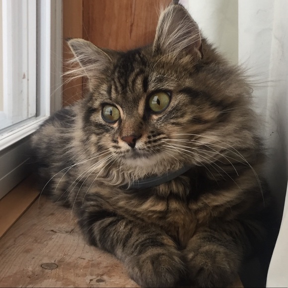 Meet your Posher, Jayme - Picture 1 of 1